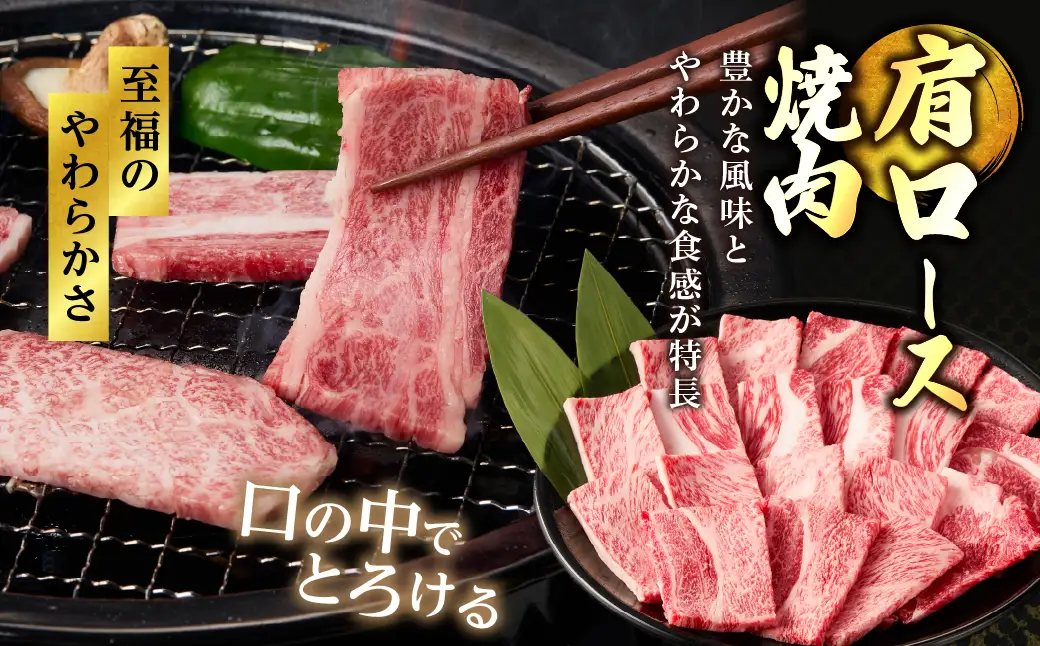 宮崎牛 焼肉 食べ比べ セット 1.1kg 牛肉 肉 国産 焼き肉 スライス 小分け 赤身 ブランド牛 ギフト 贈り物 九州 宮崎 霜降り 赤身_A0001-064