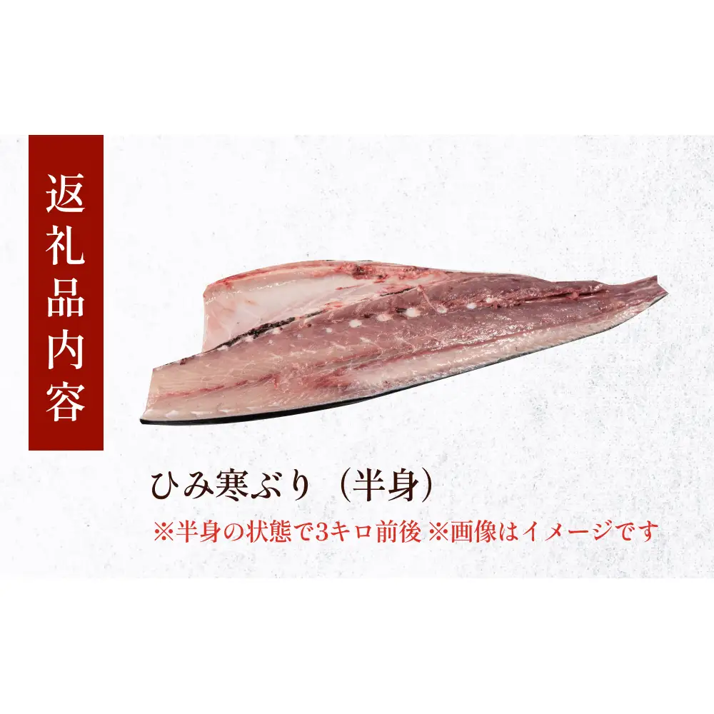 【先行予約】 天然寒鰤 『ひみ寒ぶり』＜半身＞※配送エリア限定※　