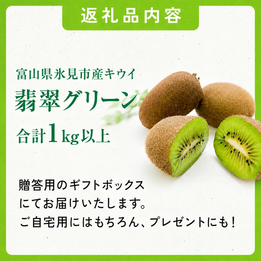 富山県産キウイ（翡翠グリーン）1kg以上（8〜12個）ギフトボックス入り ＜2026年10月以降順次発送＞  | 国産 数量限定 グリーンキウイ 富山 氷見 果物 フルーツ キウイ ギフト プレゼント 希少 品種 甘い