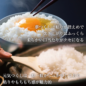 【ふるさと納税】令和8年産 福岡県産 米 食べ比べ＜無洗米＞セット「夢つくし」と「元気つくし」2種類 計10kg入り [a8471] 株式会社 ゼロプラス 【返礼品】添田町 ふるさと納税