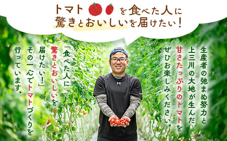 ぜいたくトマト 約1.7kg◇