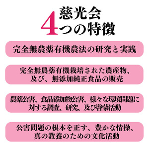 お手軽 小分け 冷凍いちご 約 500g ( 100g x 5パック ) | 果物 イチゴ いちご