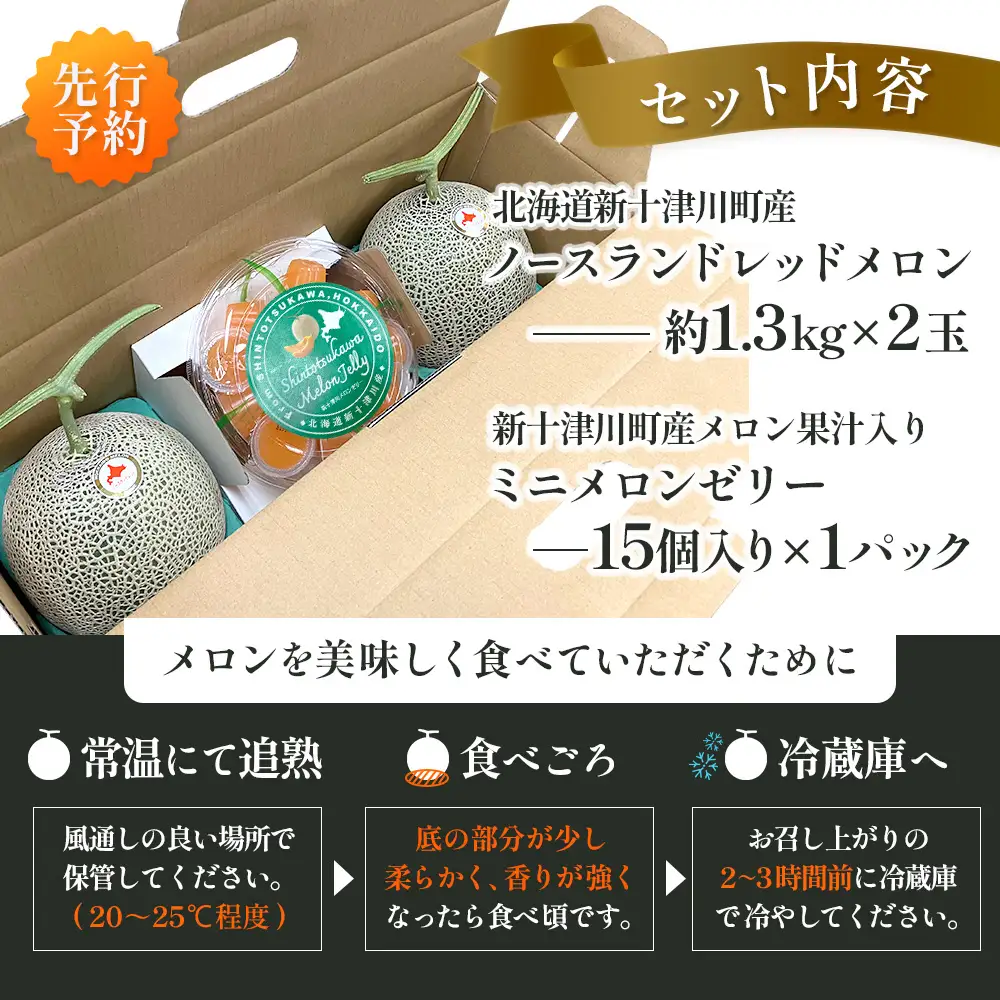 【数量限定】 赤肉メロン２玉・ミニメロンゼリーセット【令和8年７月～８月上旬発送】【1201707】