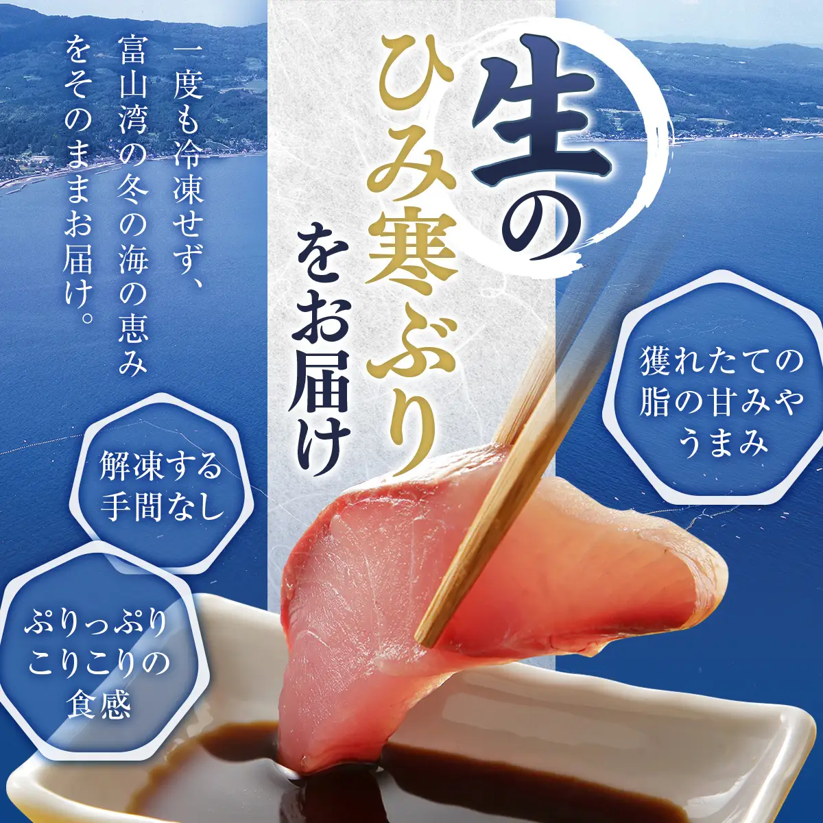 【先行予約】ひみ寒ぶり 1本プラン 【三枚おろし】 ※配送エリア限定　