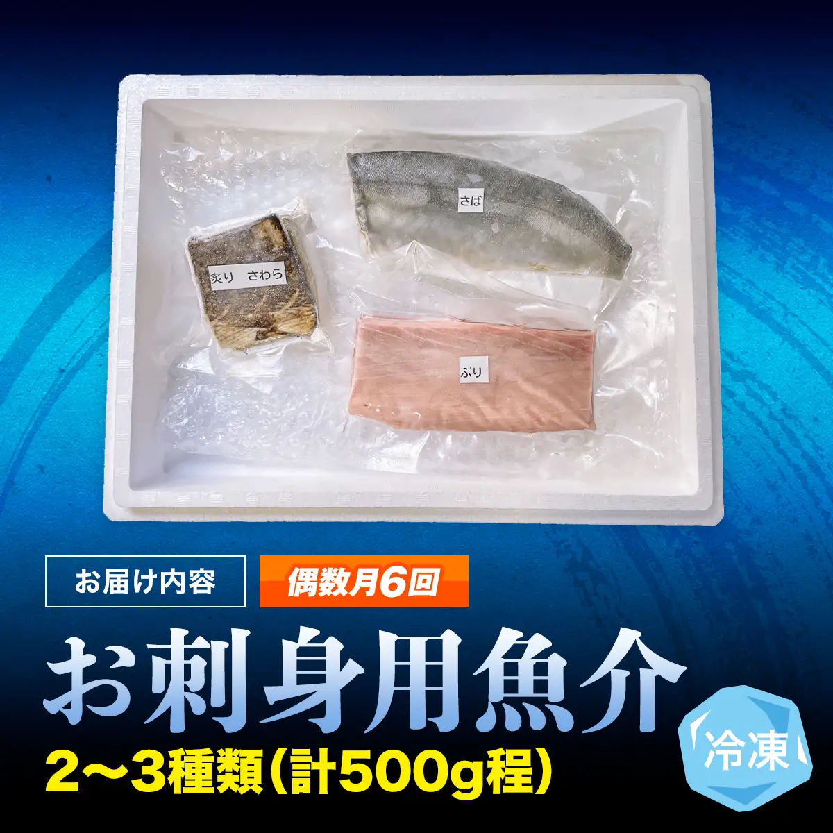 【偶数月 全6回 定期便】氷見漁港 海鮮刺身セット | 詰め合わせ 冷凍 刺身