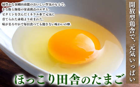 五條のたまご 食べ比べセット 計30個 | 卵 たまご 玉子 タマゴ 生たまご 生卵 奈良県 五條市