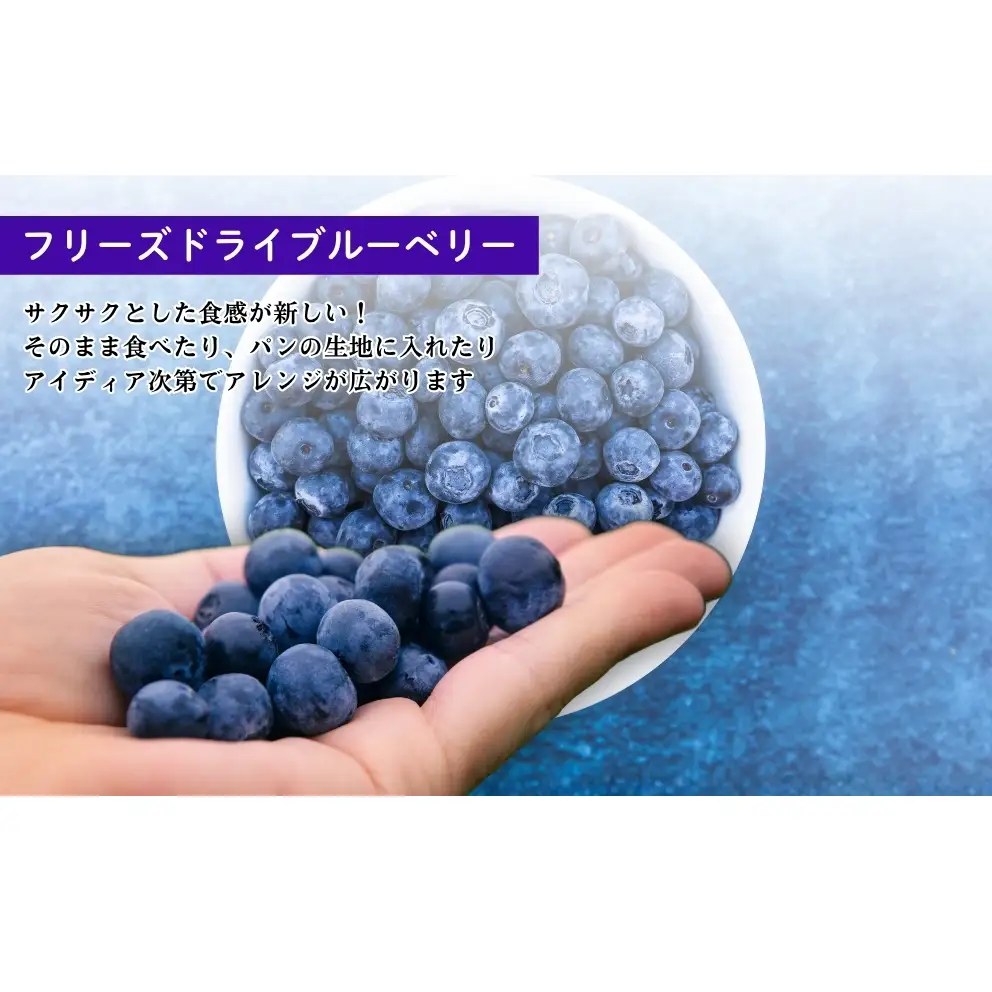 ブルーベリー詰め合わせセット