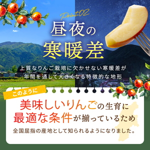 りんご 完熟 サンふじ 約4.5kg （りんご・リンゴ・林檎）【011-08】 