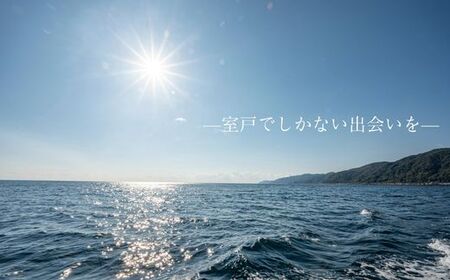 室戸からの招待状「海来に乗船していざ深海生物漁業体験」試食付  体験 夏休み 旅行 乗船 設備あり 未知の体験 思い出 甲殻類 ジオパーク 太平洋 クルージング