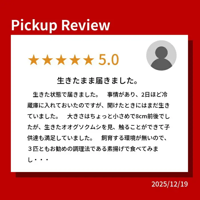 【テレビで取り上げられました！】「深海王国」室戸からお届けする「活オオグソクムシ」【３匹】話題性あり 甲殻類 エビ・カニの仲間 高知県 珍しい 自然 太平洋 ジオパーク 海産物 魚介類 グソクムシ FN-Limited-PR