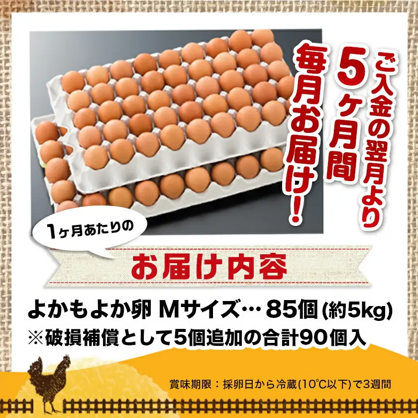 よかもよか卵85個の定期便(5ヶ月)〔T85-5-29-010-85〕_(都城市) 卵 定期便 Mサイズ こだわりの卵