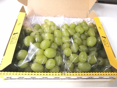 糖度18度以上 粒詰めシャインマスカット 1kg（粒 500g × 2） ※規格外品も含みます