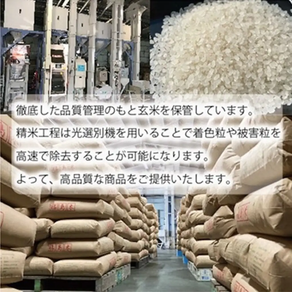 コシヒカリ 米 あさか舞コシヒカリ 5kg 令和7年 福島