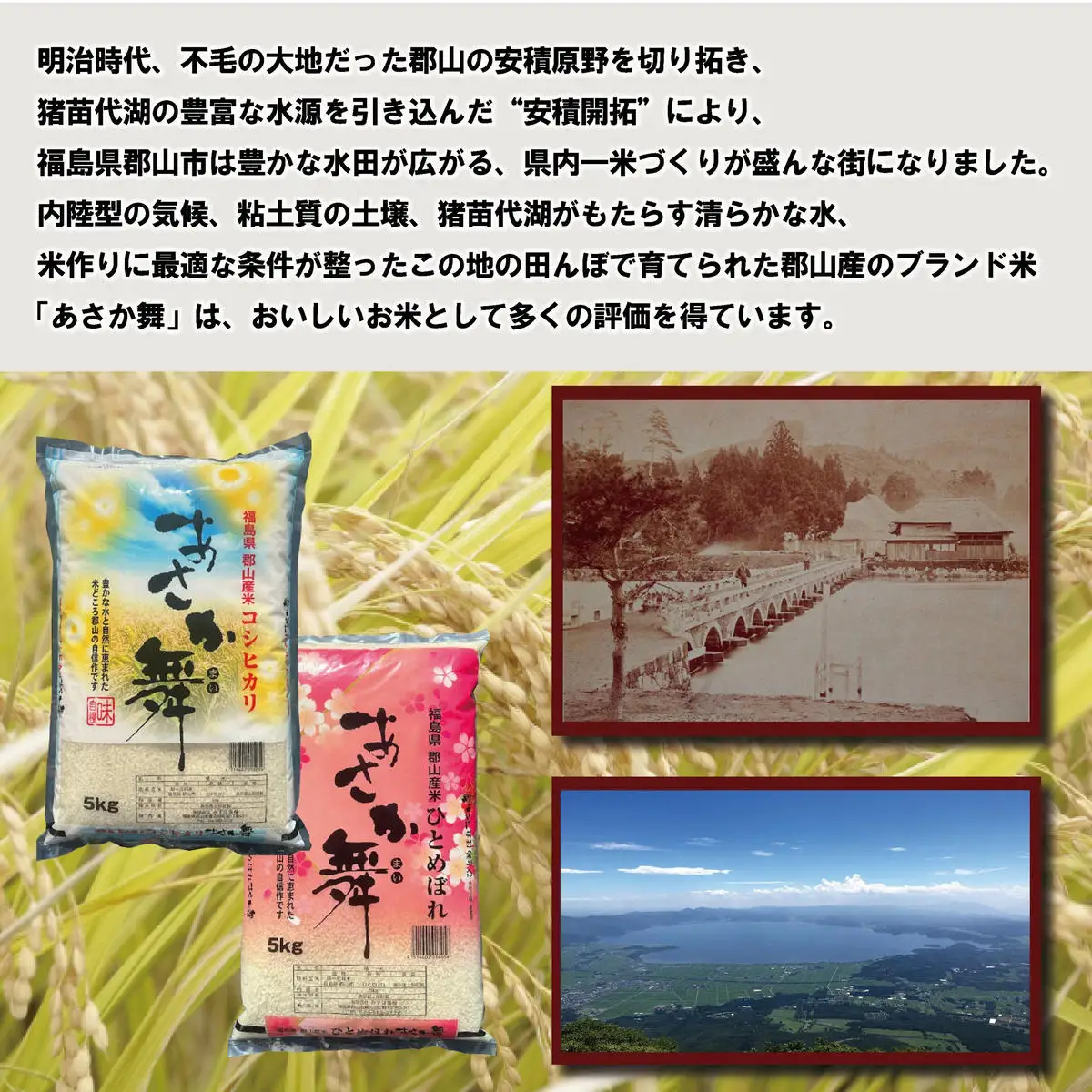 【令和7年産】福島県郡山産あさか舞ひとめぼれ 5kg お米 ブランド米 HACCP 精米 
