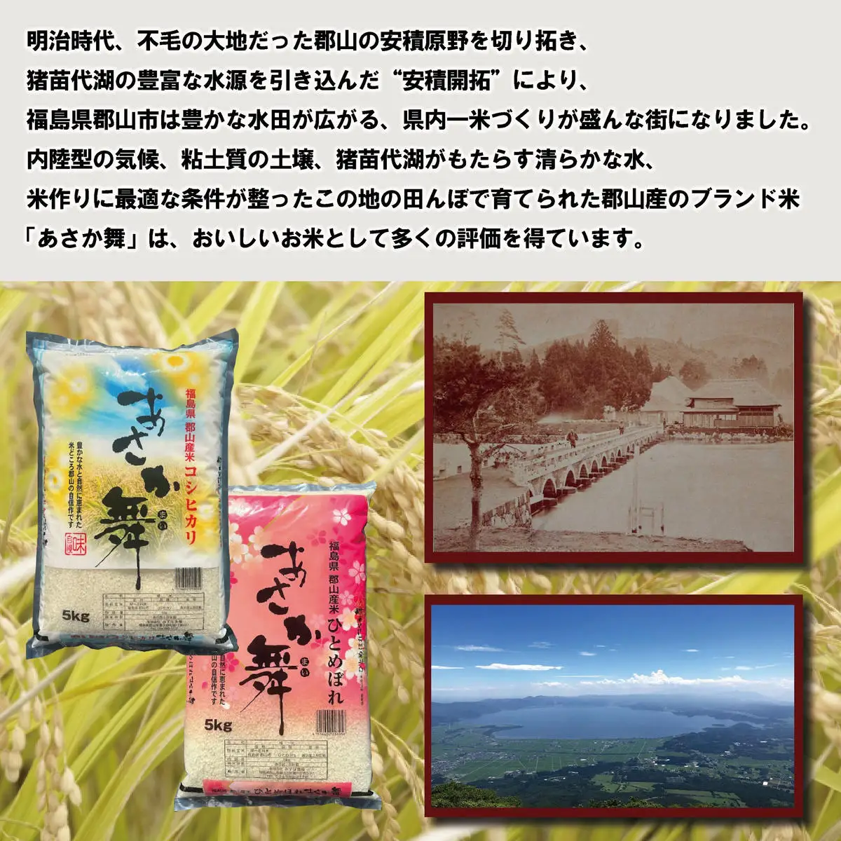 【令和7年産】 福島県郡山産あさか舞ひとめぼれ 10kg（5kg×2） お米 ブランド米 HACCP 精米 