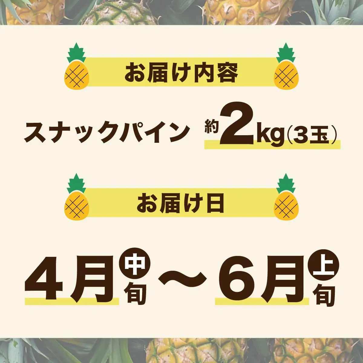 【2027年 先行予約】スナックパイン 約2kg 