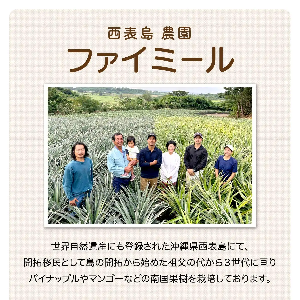 定期便 5回 パイナップル マンゴー 