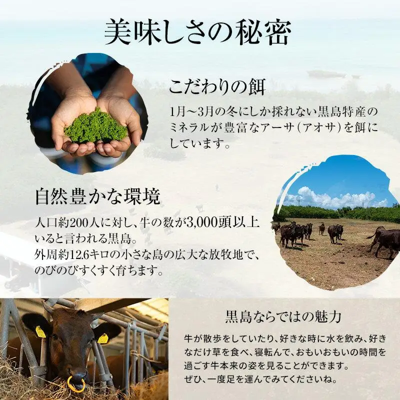 焼肉 セット 満喫セット 