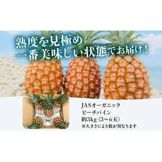  【2027年先行予約】プレミアムピーチパイン 約3kg
