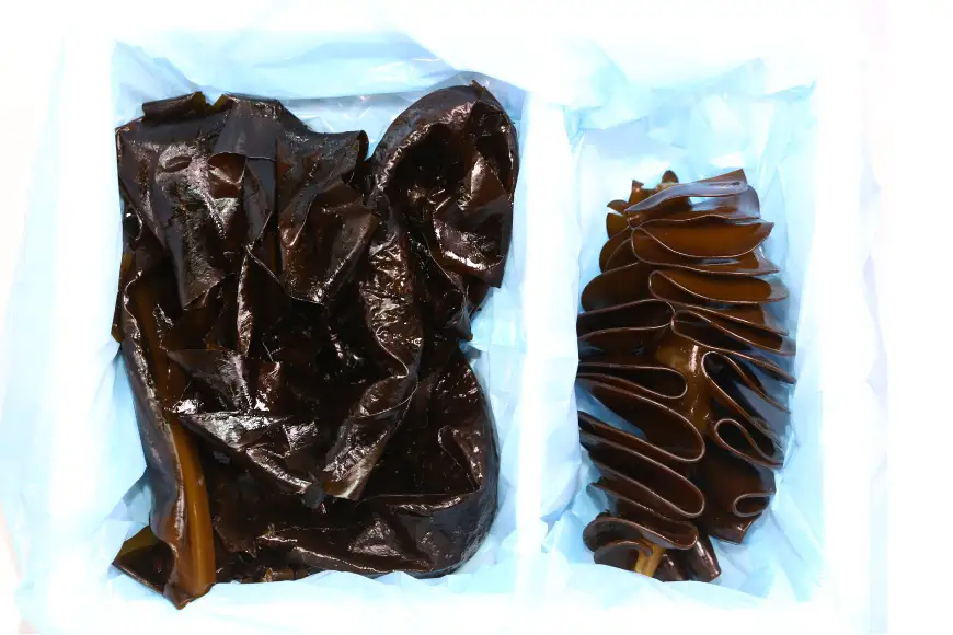 【期間限定発送】 新物 わかめ & めかぶ しゃぶしゃぶ セット 各1kg 計2kg 