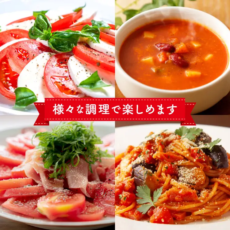 【期間限定発送】 波乗り トマト とまたん 4kg 20個入