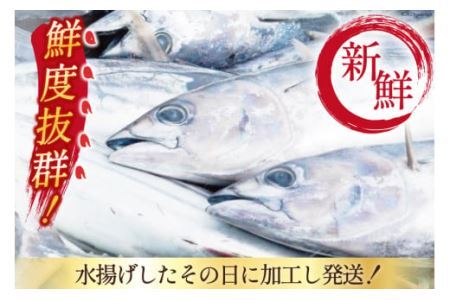 朝獲れ 産地直送 冷蔵便 生かつおタタキ 1kg タレ付 真空パック 