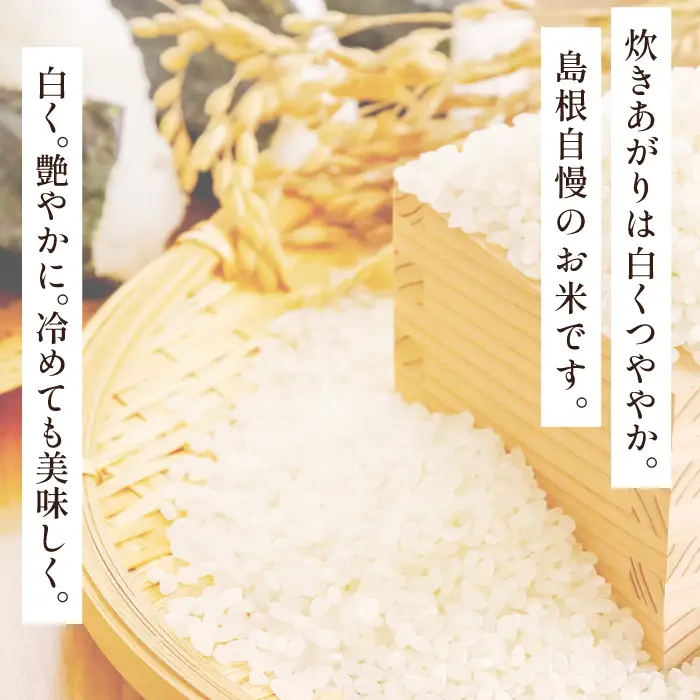 「きぬむすめ」（精米10kg（5kg×2袋））とご飯のおとも「石見銀山和牛しぐれ」【米 10kg きぬむすめ こめ おこめ お米 精米 和牛しぐれ 50g×2袋 島根県産 大田市産 肉 牛肉】