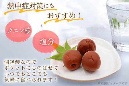 【カリカリ】梅恋し 10個×2袋 小梅 カリカリ梅干し 個包装