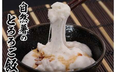 『令和6年産 自然薯』　約2.2kg