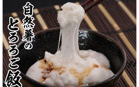 『令和6年産 自然薯』　約 1kg