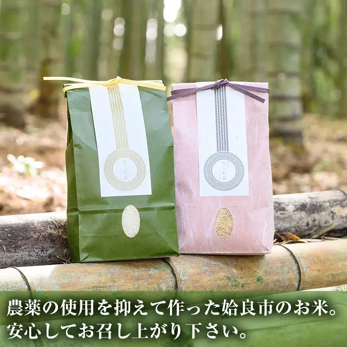 a902-D 竹ん粉米(白米2kg)【夢竺山株式会社】米 お米 白米 精米 選べるお米 セレクト