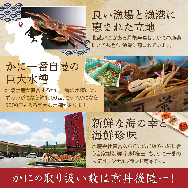 かに卸問屋がお届け・自社釜ゆで！幻のゆで間人ガニ 1ｋｇ～1.1ｋｇ超 特大サイズ（1月～3月発送）／北畿水産 かに
