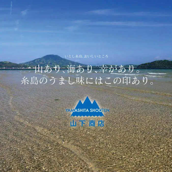 【全6回定期便】干しわかめ 2袋 糸島市 / 山下商店【いとしまごころ】糸島 乾物 海藻 いとしま 乾燥 [ANA028]