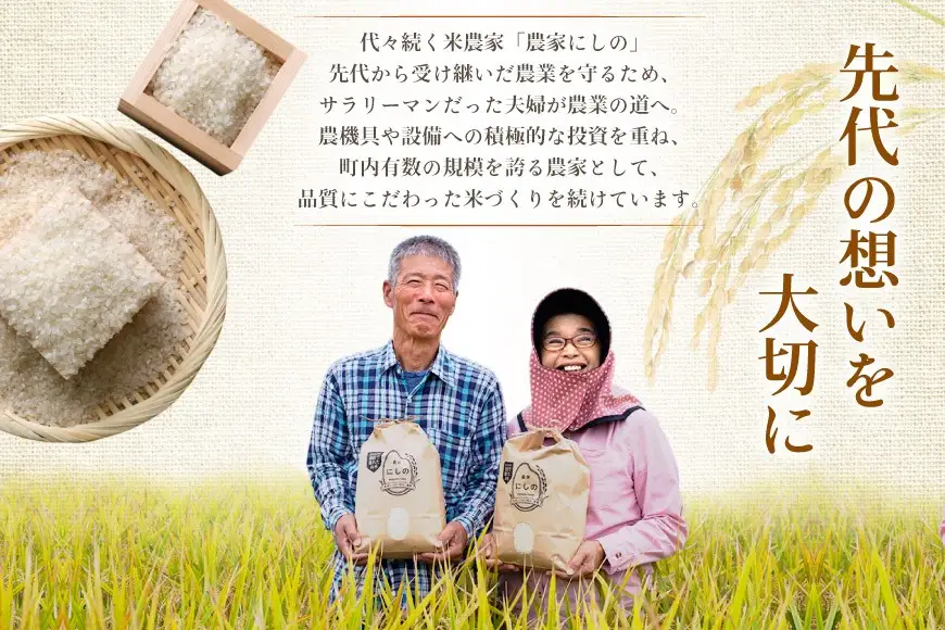 【期間限定発送】 米 定期便 コシヒカリ 白米 10kg 3回 総計 30kg