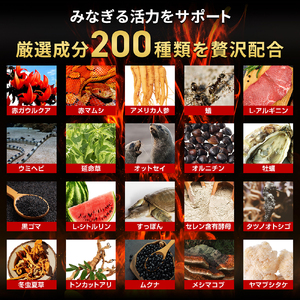 マカ ハルクファクター 亜鉛 20倍濃縮 栄養機能食品 マカ【30日分】