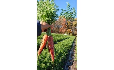 秋野菜詰合せ 有機栽培さつまいもにんじん群馬県産 秋野菜詰合せ【計6kg(各3kg)】