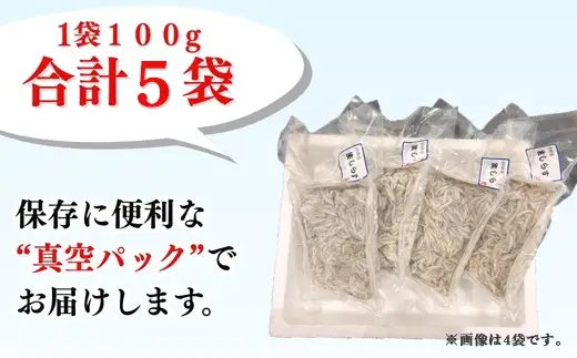 生しらす お刺身 500g 小分け 岬だより 生しらす刺し身