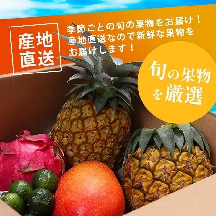 《2027年夏に順次発送予定》石垣島の夏「果物」詰め合わせ～夏のタカラモノ果物便～
