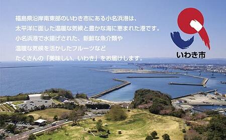 《先行予約》いわき市産梨　豊水 約5kg（約9～13個）