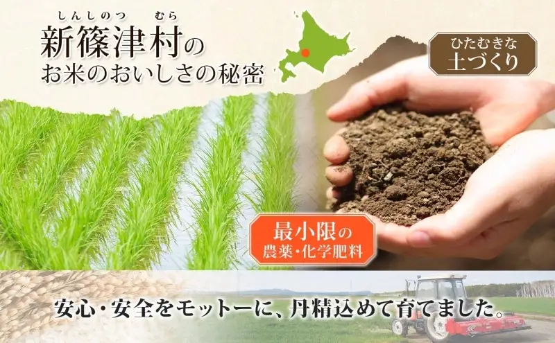 北海道 定期便 6ヵ月 連続 全6回 R8年産 北海道産 ゆめぴりか 5kg 精米 米 白米 ごはん お米 新米 特A 北海道米 道産 飯 お取り寄せ 半年 まとめ買い 新しのつ米 常温 送料無料 令和8年産