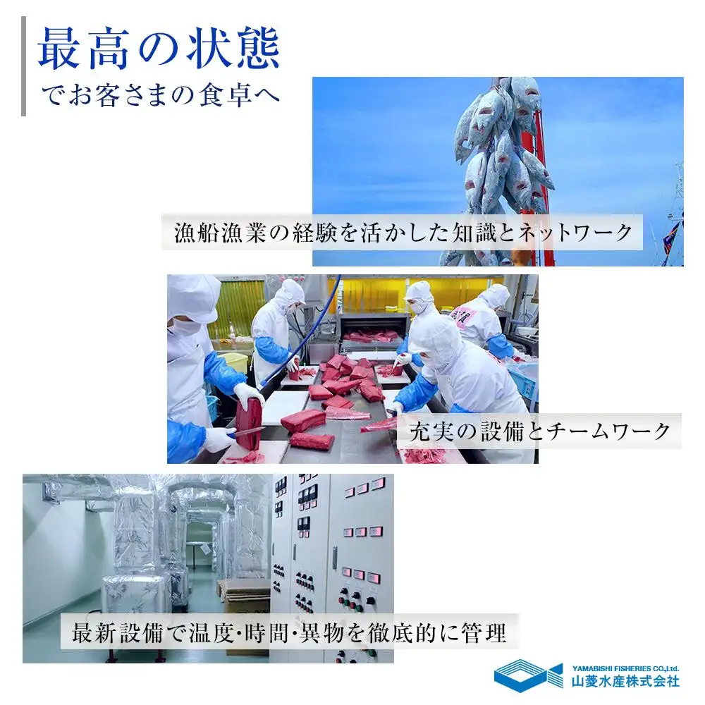お刺身アイスバーグサーモン400g＆天然本鮪赤身150g DK007