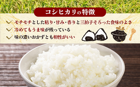 【 小豆島 】令和6年産新米 小豆島太閤 コシヒカリ 精白米 10kg（5kg×2袋）  お米 米 小豆島産 香川 香川県 土庄 土庄町