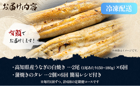 【6カ月定期便】高知県産鰻の白焼き 2尾(150～180ｇ) 合計12尾 特大サイズ【白焼き 国産 白焼き鰻 蒲焼きタレ付き 白焼き レシピ付き 白焼き 特大 白焼き】 Wyw-0075