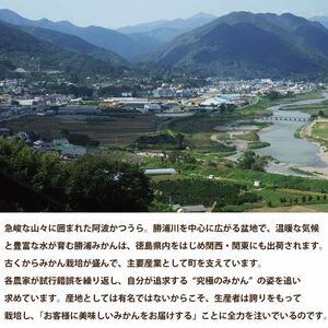 上村農園 訳あり 完熟早生みかん 青秀 SS-LLサイズ 10kg