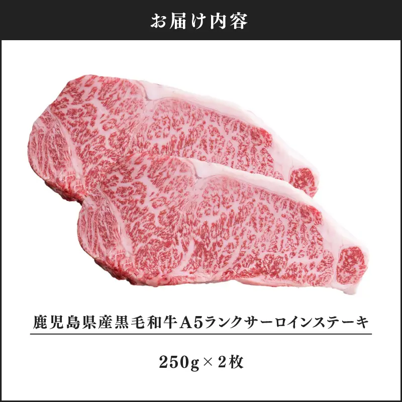 1397-1 鹿児島県産黒毛和牛A5ランクサーロインステーキ 500g（250g×2枚） KN041-001-01 肉 牛肉 冷凍