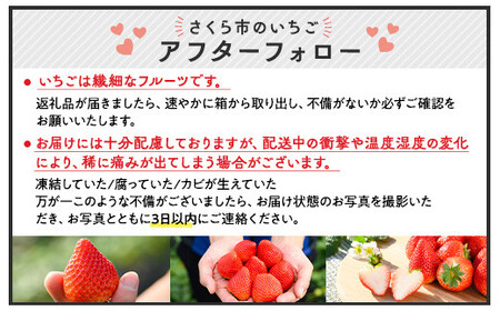 いちご とちあいか 290g×4パック ※2026年12月～発送