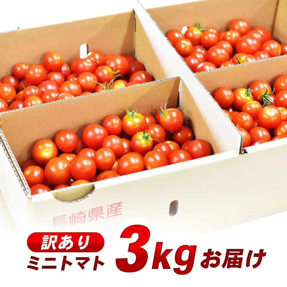 【訳あり】ミニトマト 3kg / 訳あり 訳アリ ミニトマト プチトマト トマト とまと 野菜 やさい / 諫早市 / 原農園 [AHCZ001]