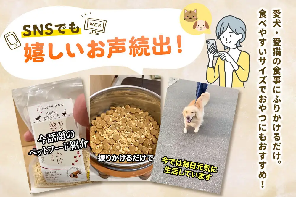 犬猫用 あとのせ納豆ふりかけ（たっぷりサイズ）100g×5個 計500g ペット 秋田県 大仙市