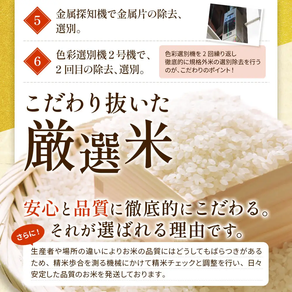 5kg（5kg×1袋）大手有名百貨店出荷米 あきたこまち【白米】令和7年産 米 お米