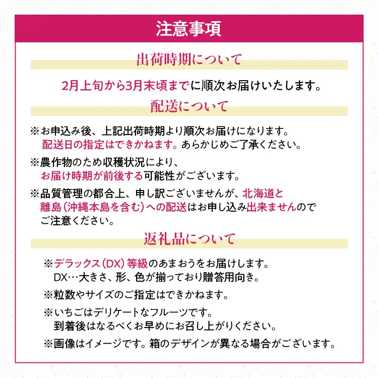 福岡産【春】あまおうDX（デラックス）4パック いちご 苺 果物 フルーツ 九州産 福岡県産 冷蔵 送料無料 【2月上旬発送開始予定】 イチゴ フルーツ 果物 くだもの ブランド 国産 甘味 果汁